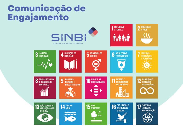 Comunica O De Engajamento Coe Do Pacto Global Da Onu Sinbi